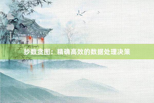 抄数贪图：精确高效的数据处理决策