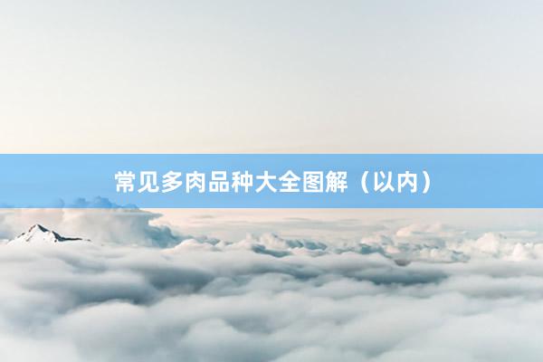 常见多肉品种大全图解（以内）